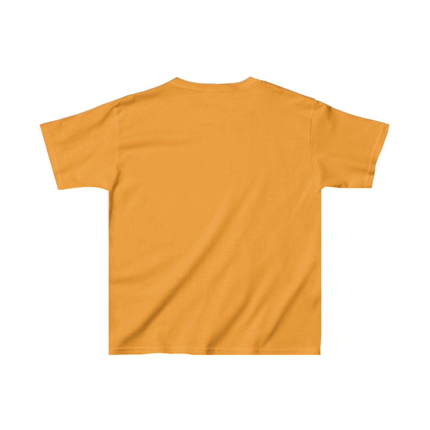 Kids Heavy Cotton™ Tee Activewear Comes In Many Colors