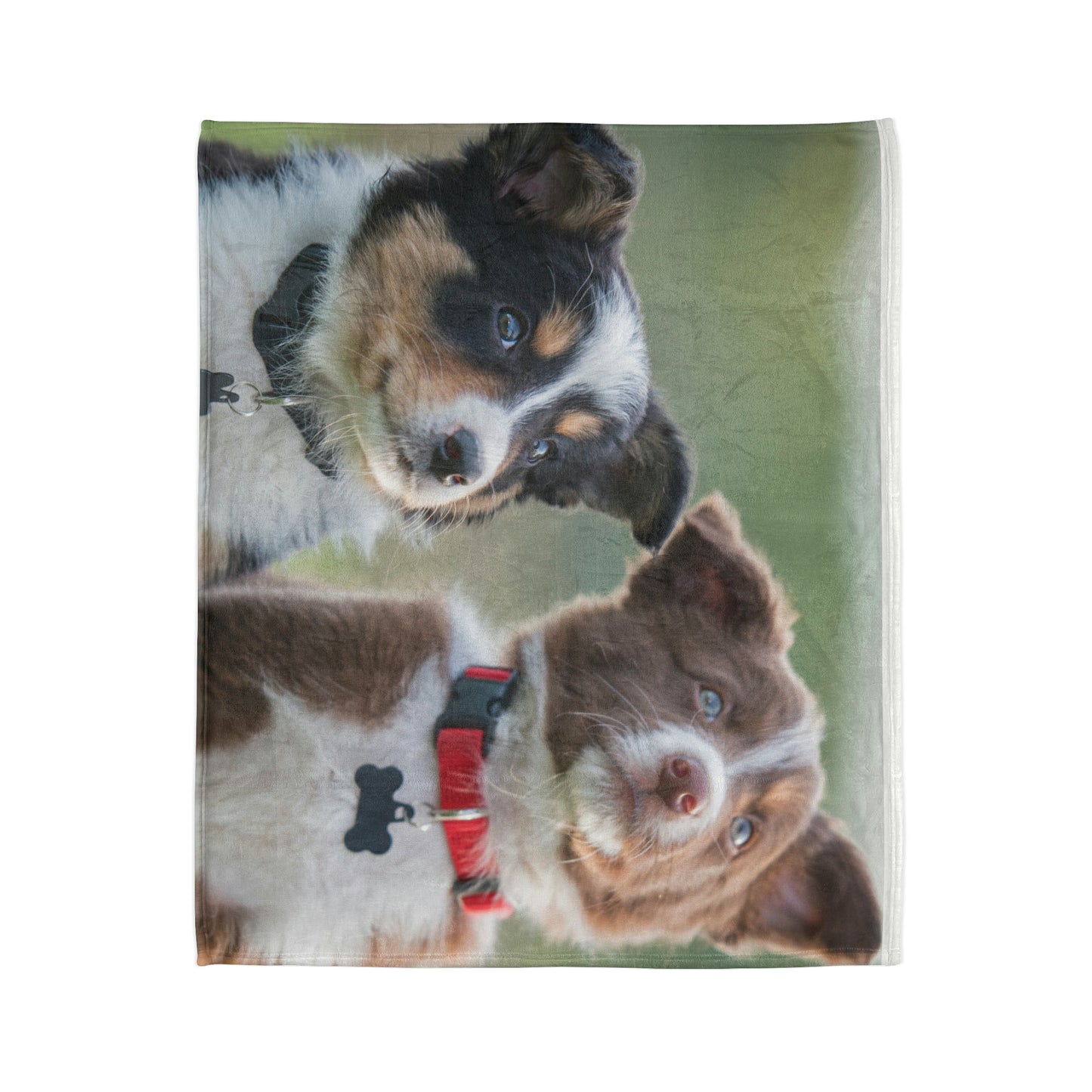 Soft Polyester Blanket Teen/Kids Accessories Decor Puppies Blanket For Those Puppy Lovers