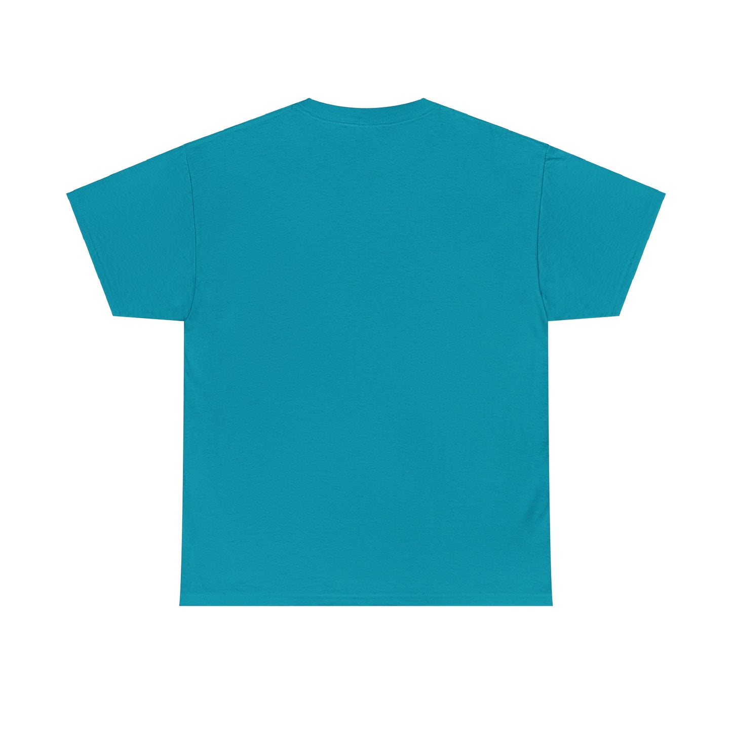 Unisex Heavy Cotton Tee T-shirts Adult/Teen Activewear Comes In Various Colors