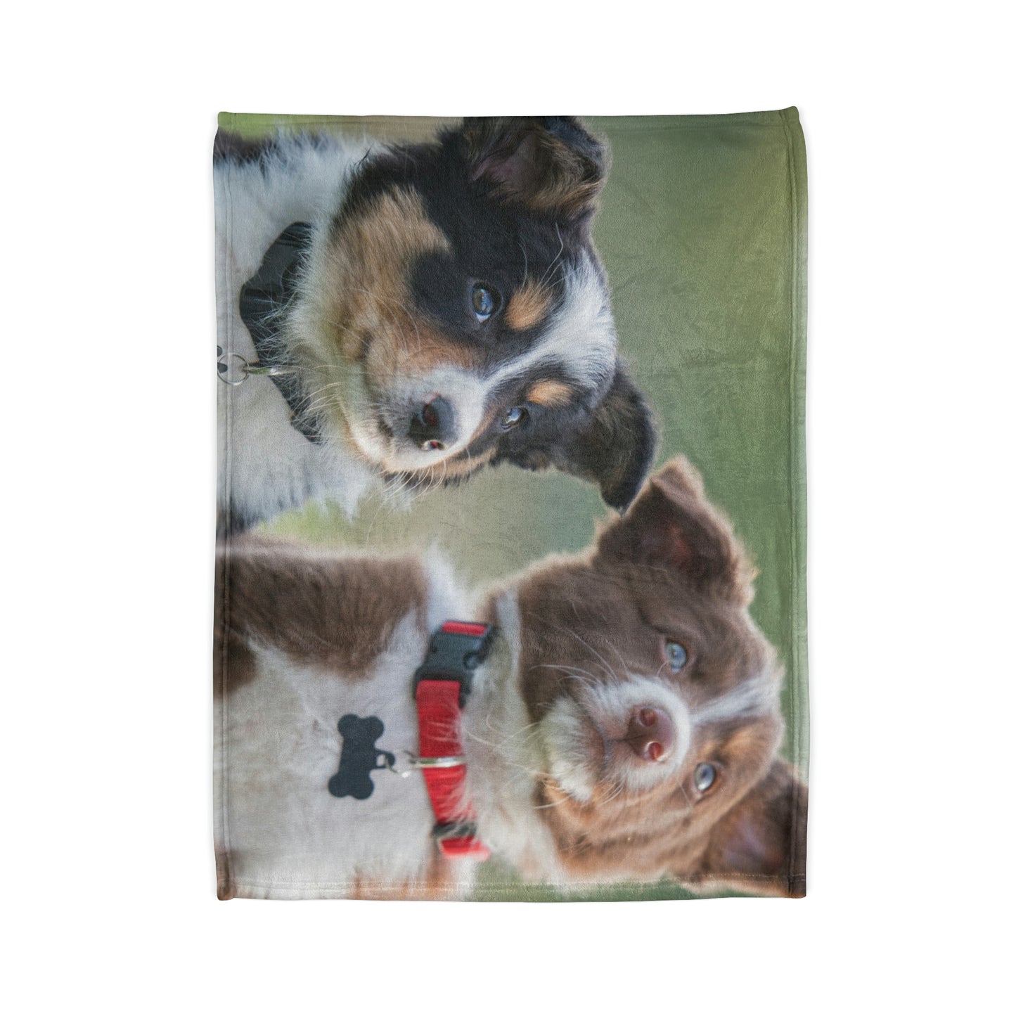 Soft Polyester Blanket Teen/Kids Accessories Decor Puppies Blanket For Those Puppy Lovers