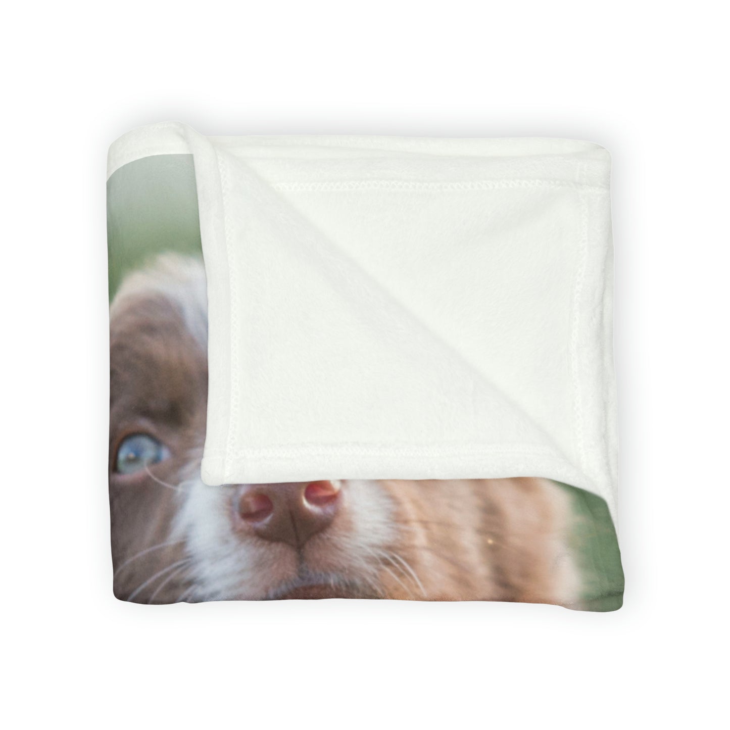 Soft Polyester Blanket Teen/Kids Accessories Decor Puppies Blanket For Those Puppy Lovers