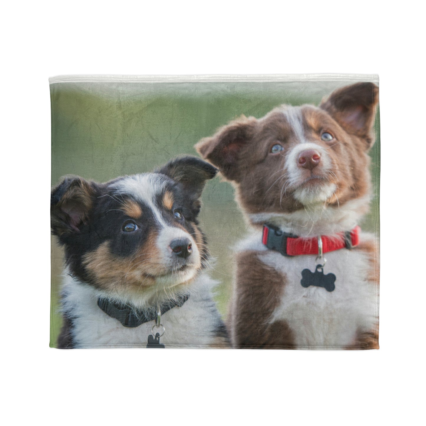 Soft Polyester Blanket Teen/Kids Accessories Decor Puppies Blanket For Those Puppy Lovers