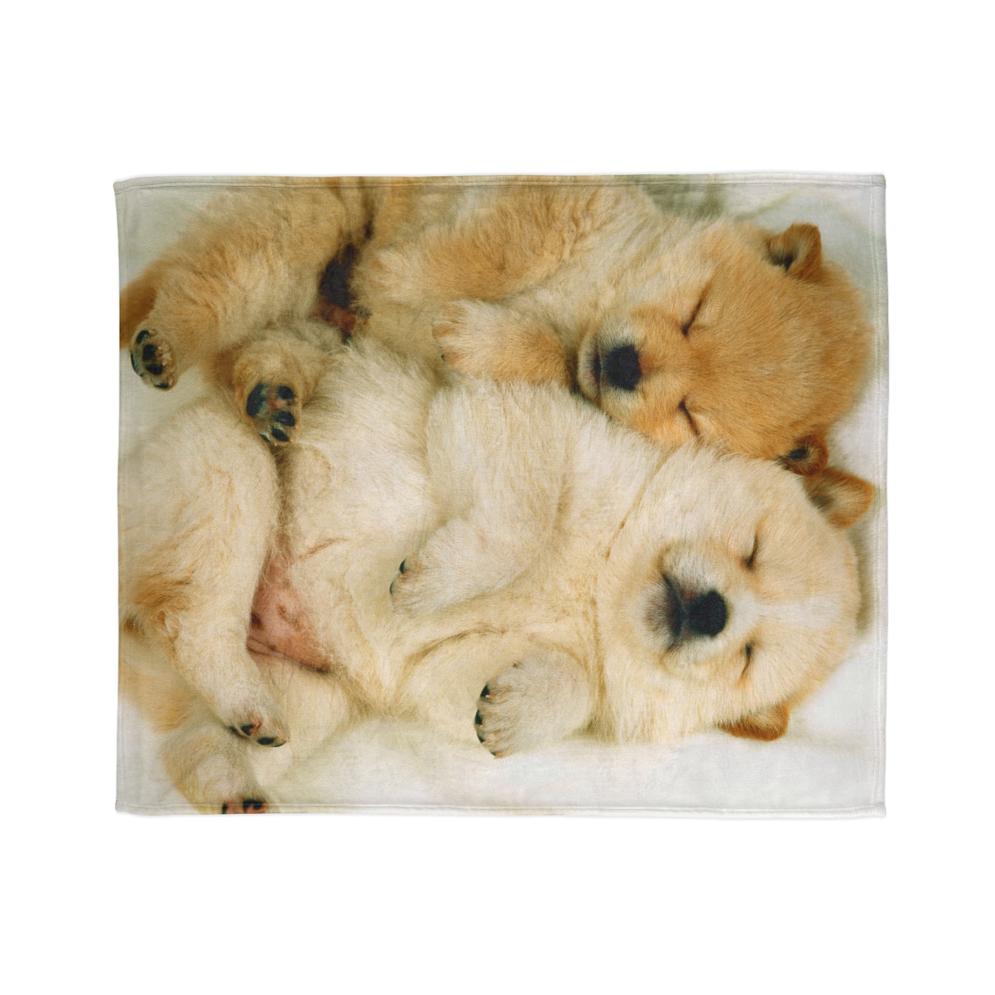 Soft Polyester Blanket Adult/Teen/Kids Puppy Lovers Accessories Decor