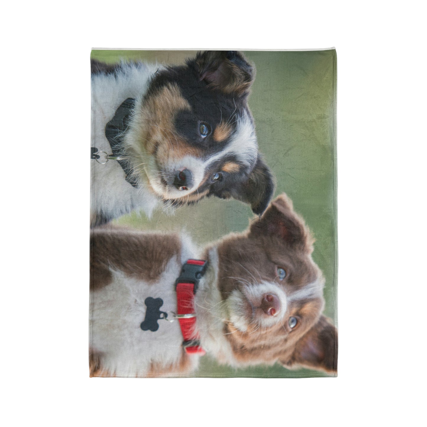 Soft Polyester Blanket Teen/Kids Accessories Decor Puppies Blanket For Those Puppy Lovers