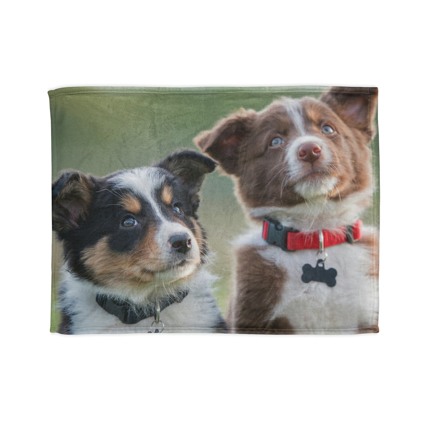 Soft Polyester Blanket Teen/Kids Accessories Decor Puppies Blanket For Those Puppy Lovers