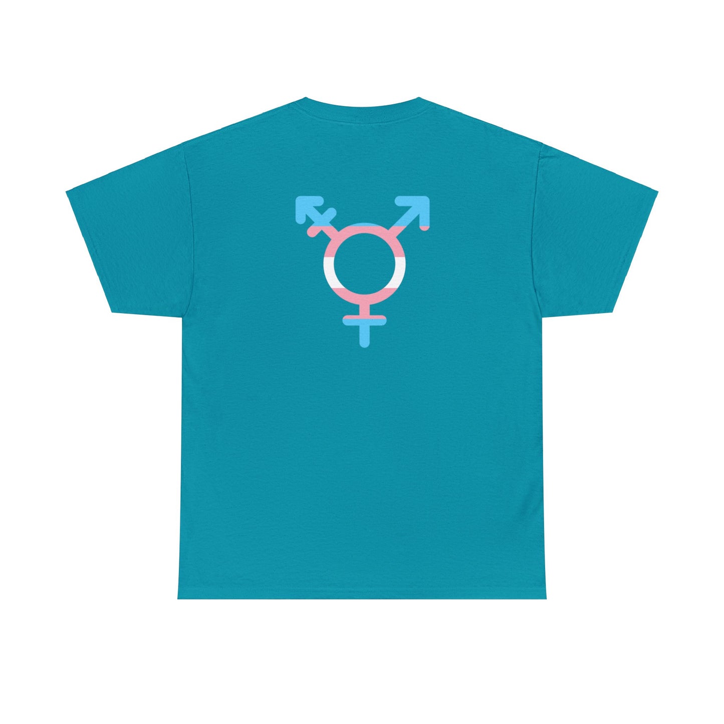 Unisex Heavy Cotton Tee  Design On Both Sides Adult/Teen Activewear Comes In Various Colors